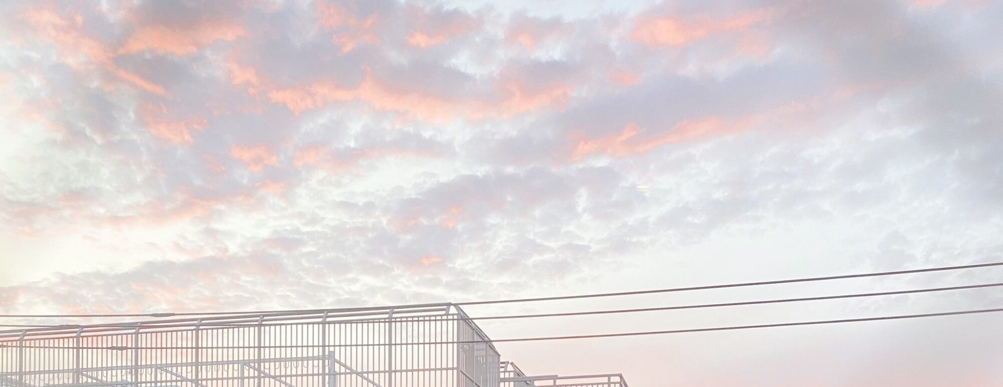 糖果子弹无法击碎现实之梦